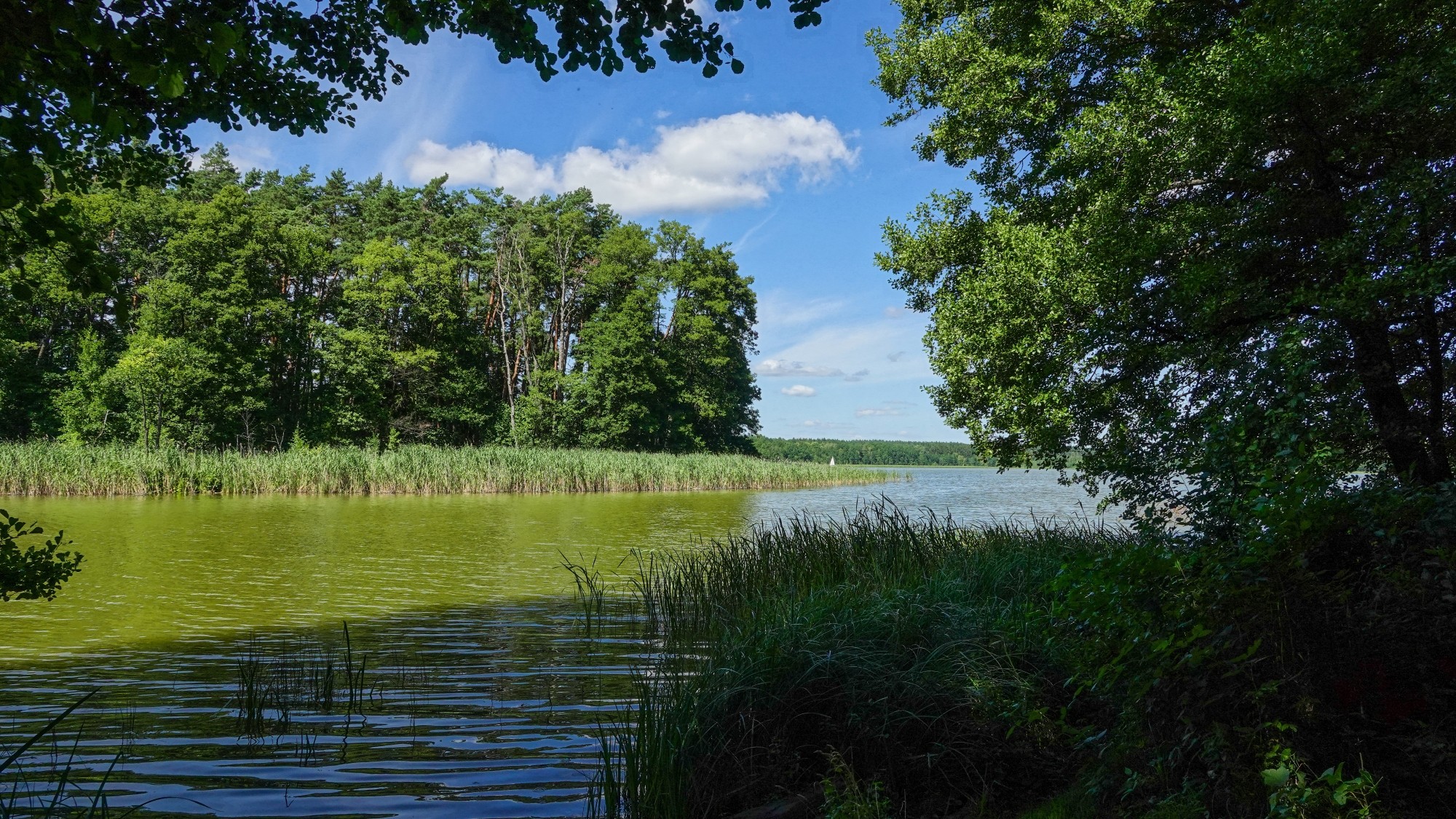 Wakacyjne podróże - zdjęcie 44