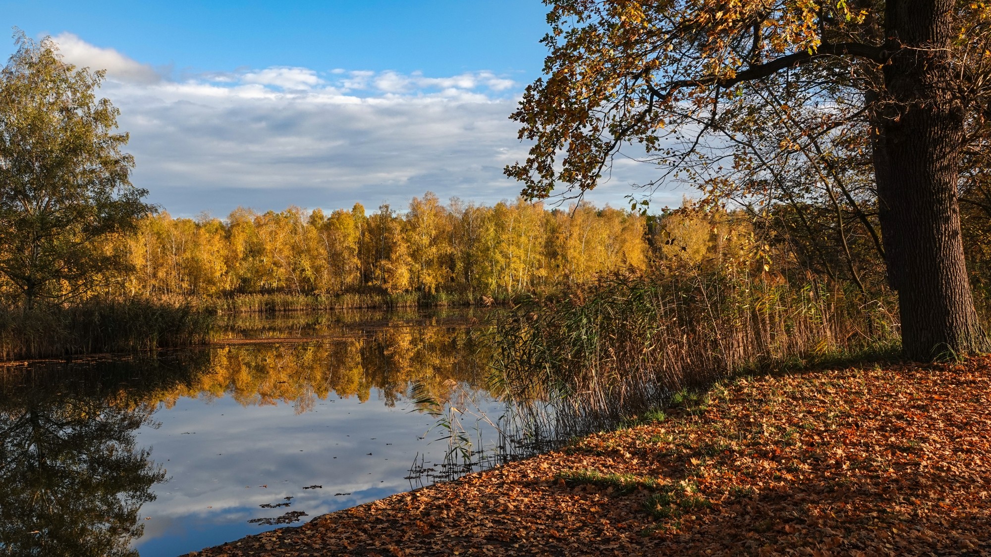 Wypoczynek nad wodą - zdjęcie 7
