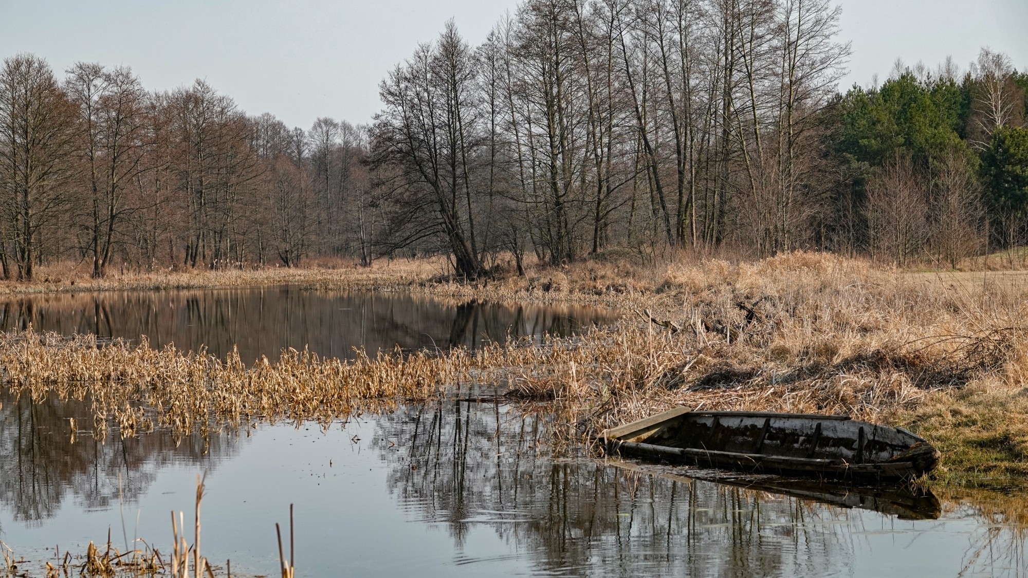 Marzec w obiektywie - zdjęcie 56
