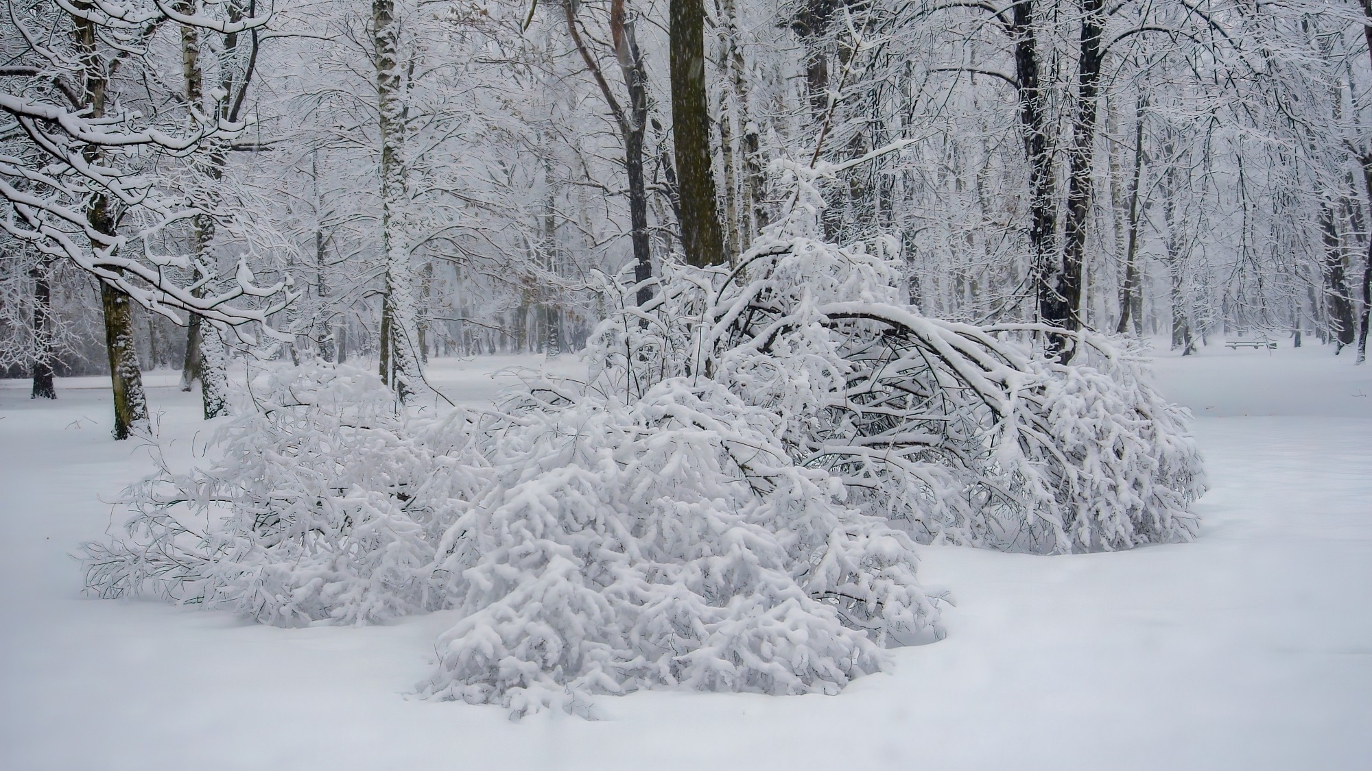 Śnieżne zimy sprzed lat - zdjęcie 22