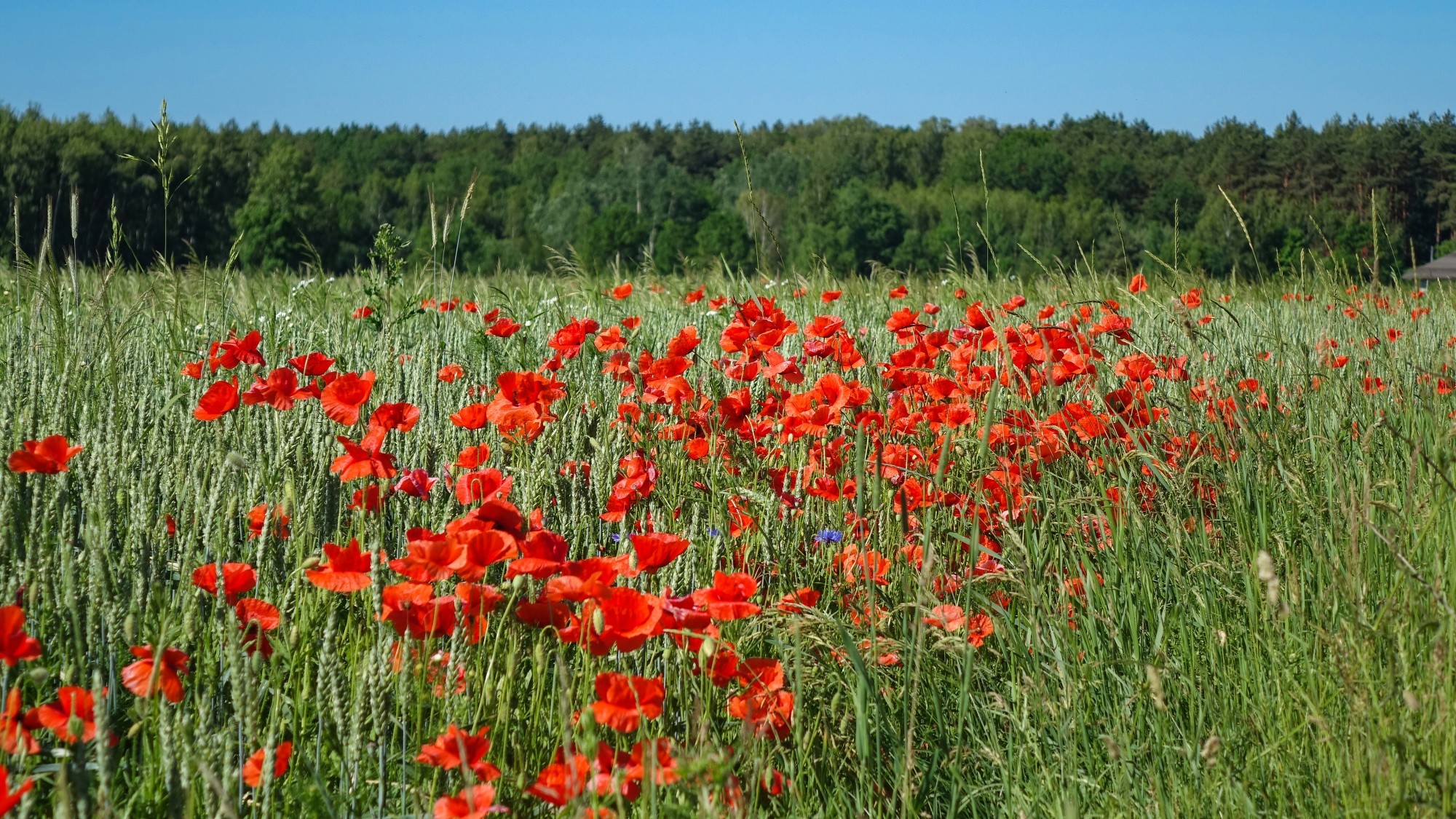 Wakacyjne podróże - zdjęcie 11