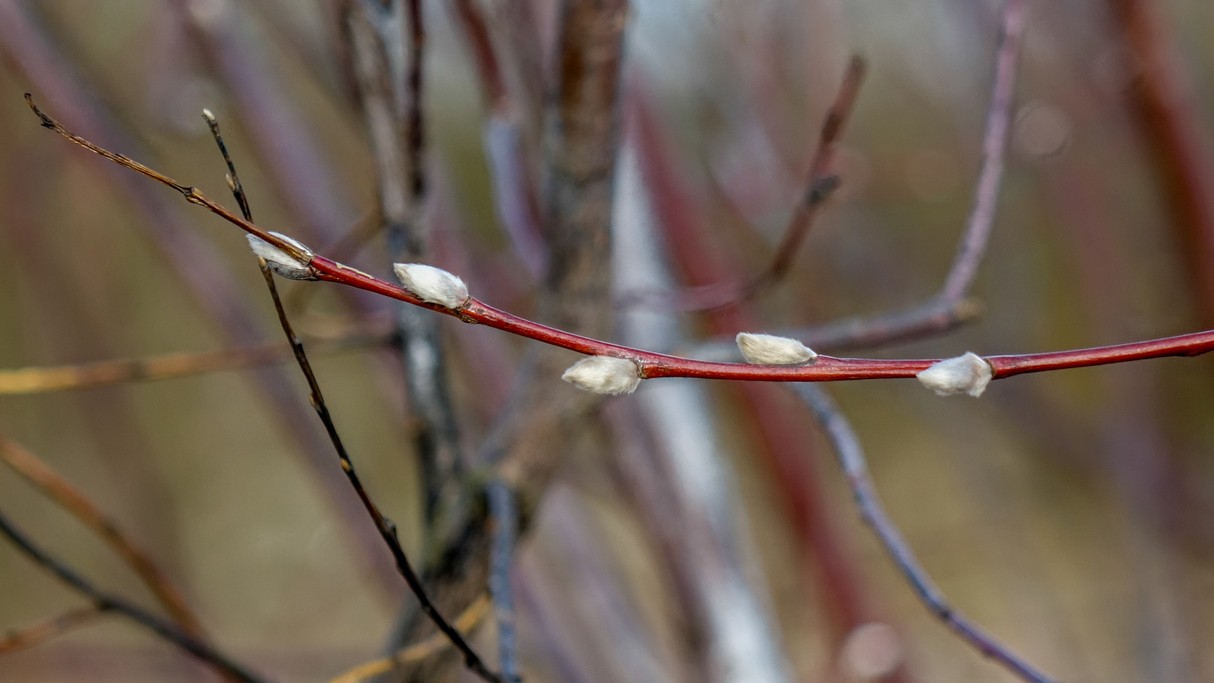 Luty w obiektywie - zdjęcie 20