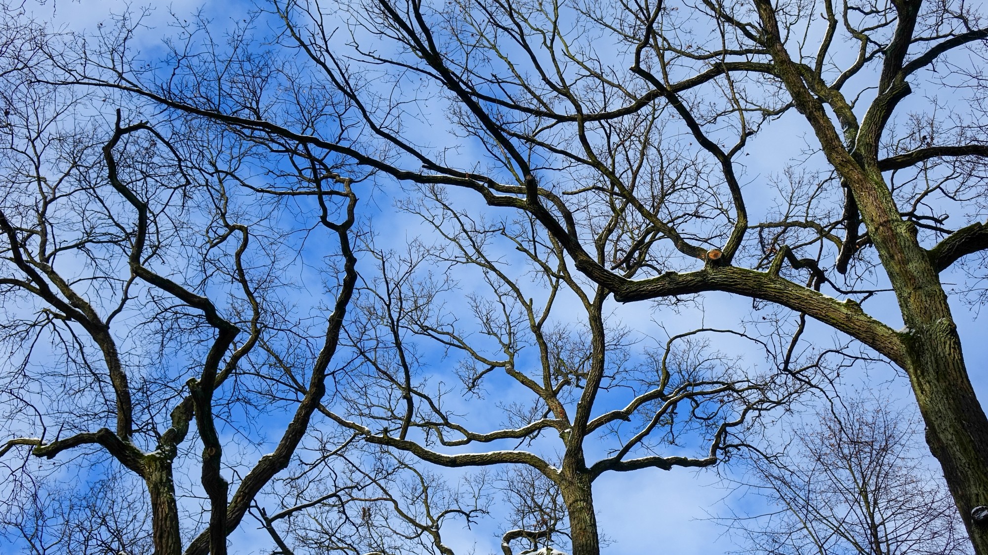 Polskie krajobrazy w 2019 roku - zdjęcie 51