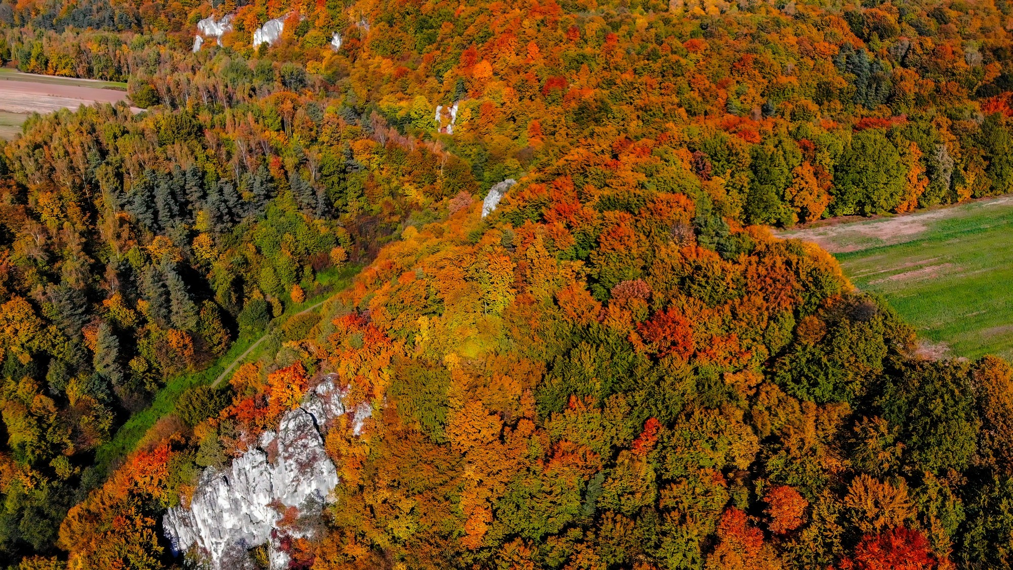 Polska jesienią - zdjęcie 4