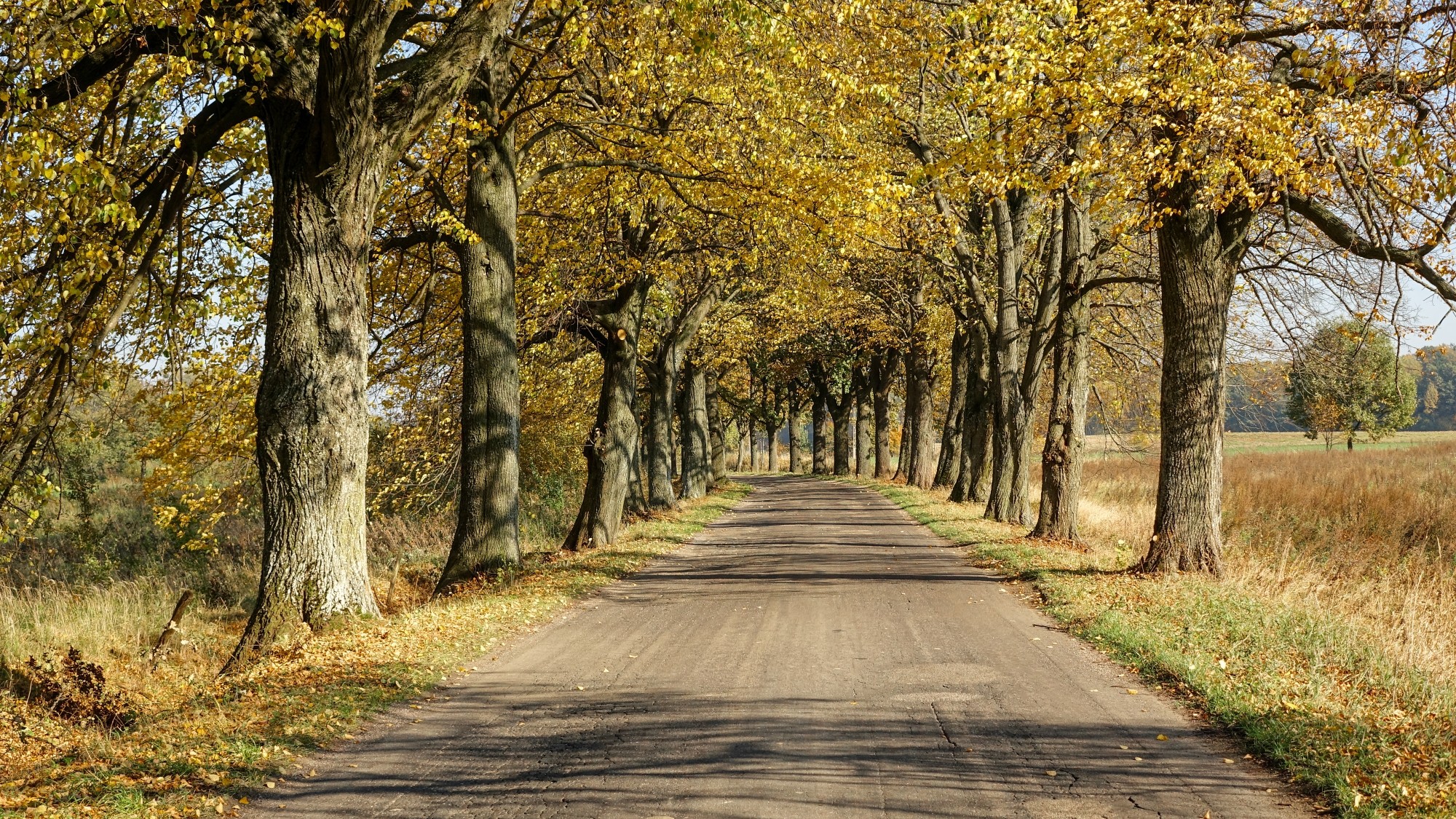 Drogą do raju - zdjęcie 34