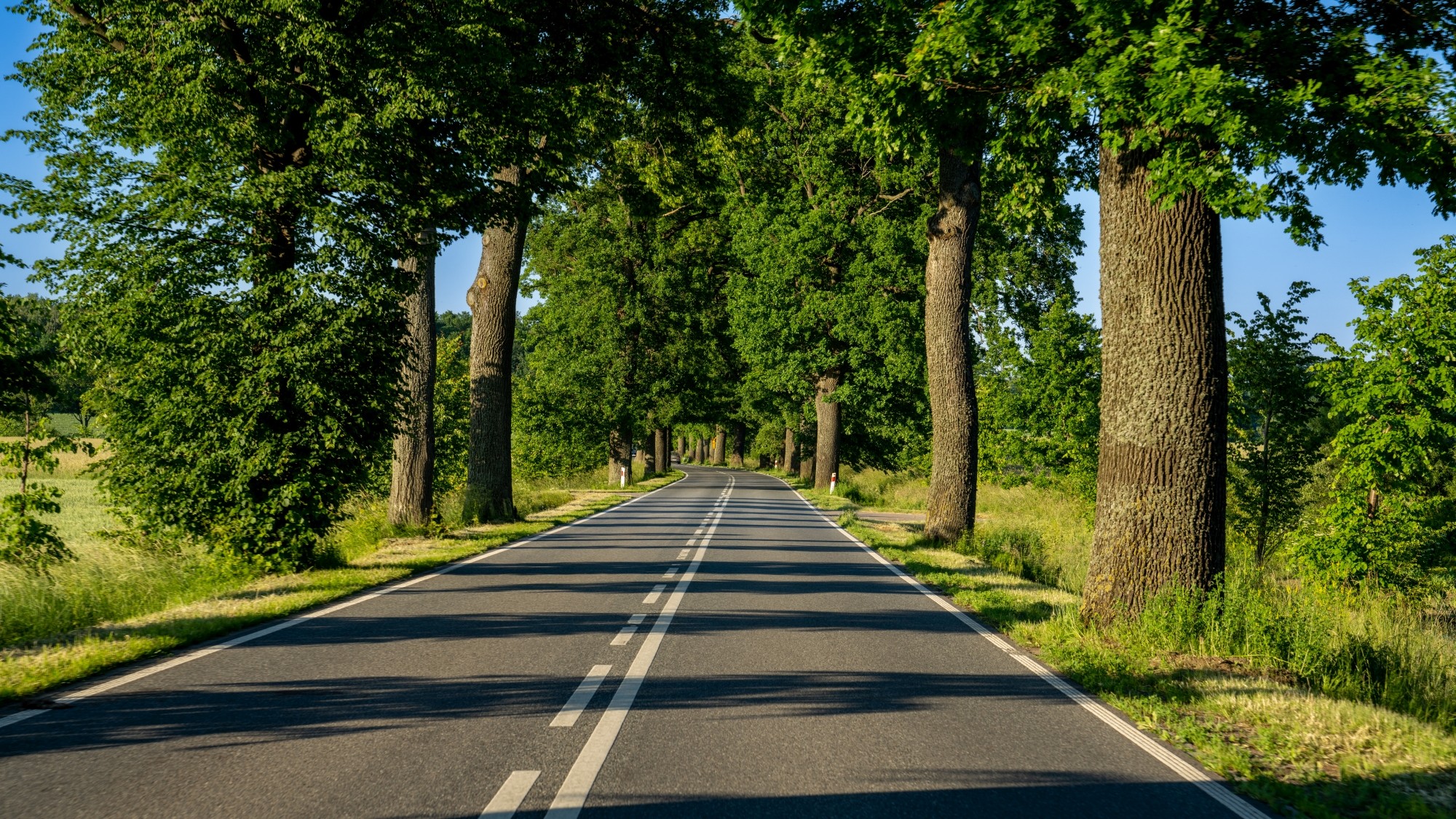 Kolory lata - zdjęcie 15