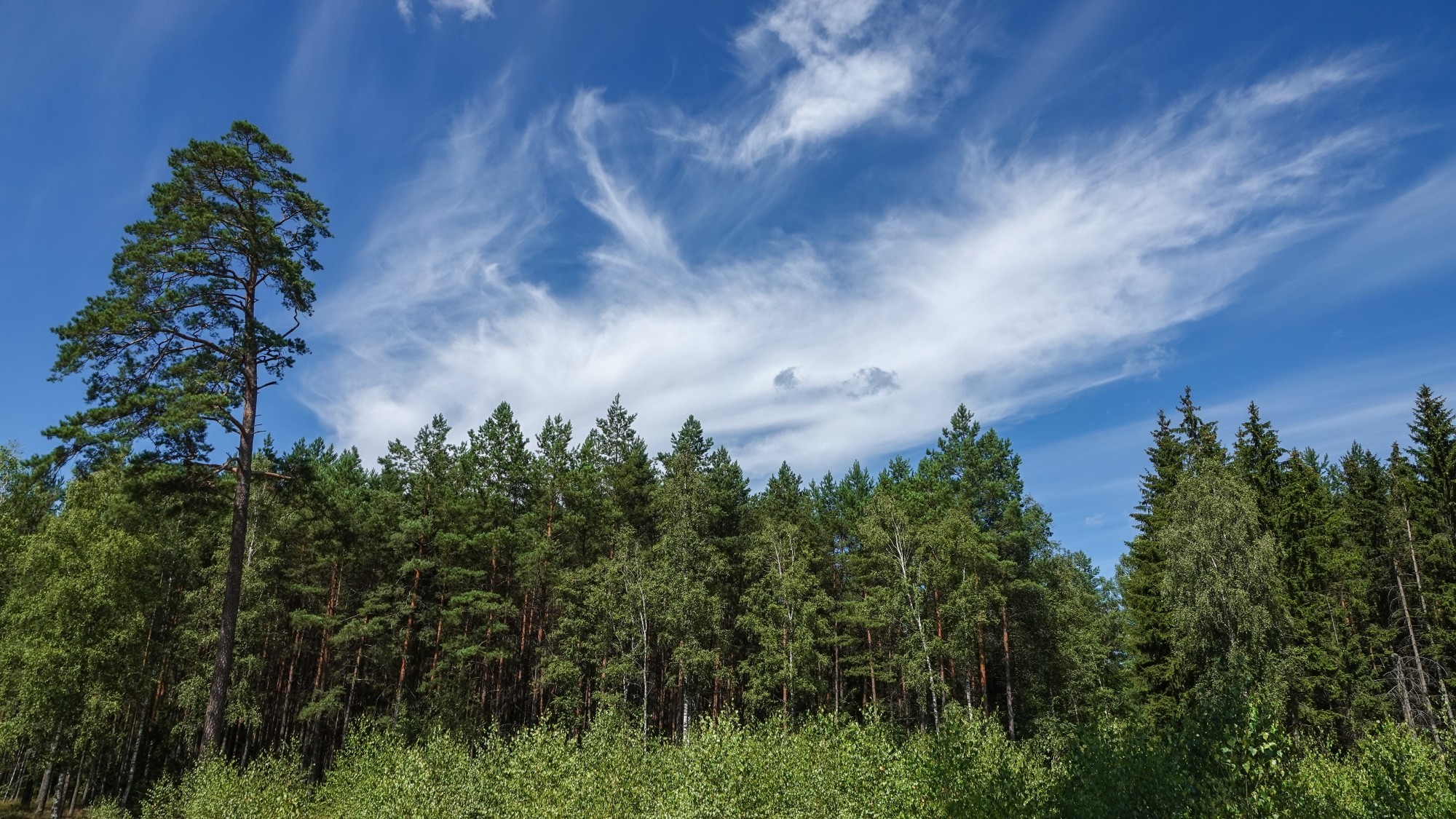 Na pożegnanie lata - zdjęcie 27