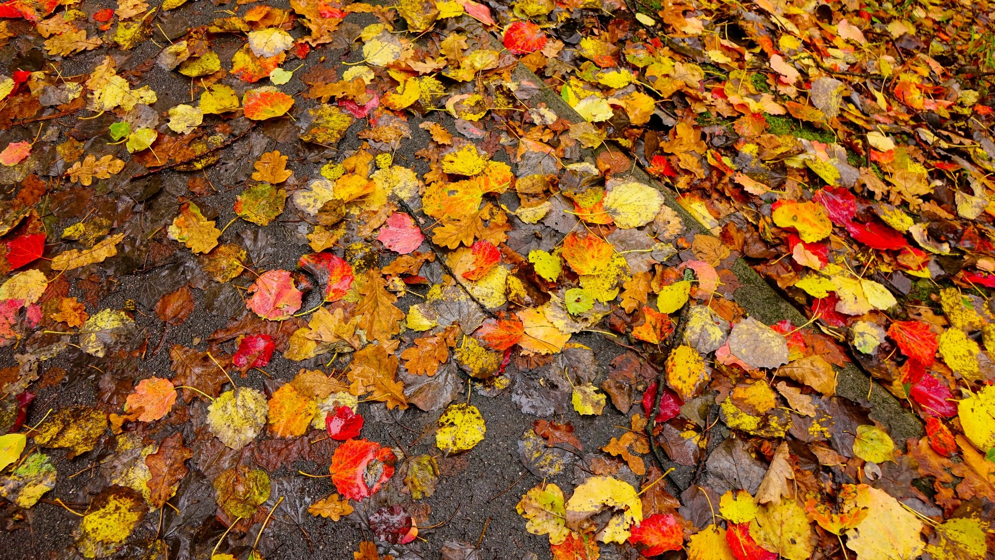 Kraina jesieni - zdjęcie 10