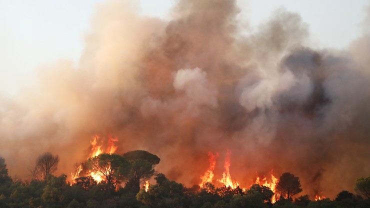 Francja. Trwa gaszenie pożarów na Lazurowym Wybrzeżu. Zginęła co najmniej jedna osoba