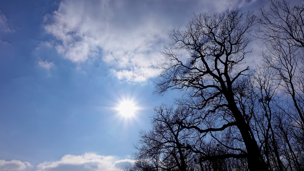 Luty w obiektywie - zdjęcie 14