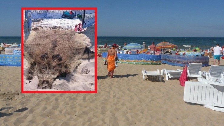 Bałtyk. Turyści "rezerwują" miejsce na plaży parawanami