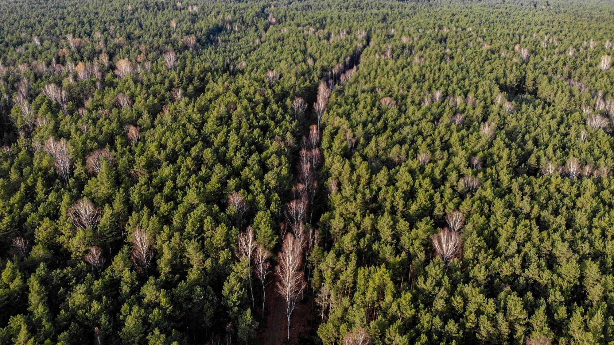 Niesamowita Polska z lotu ptaka - zdjęcie 74