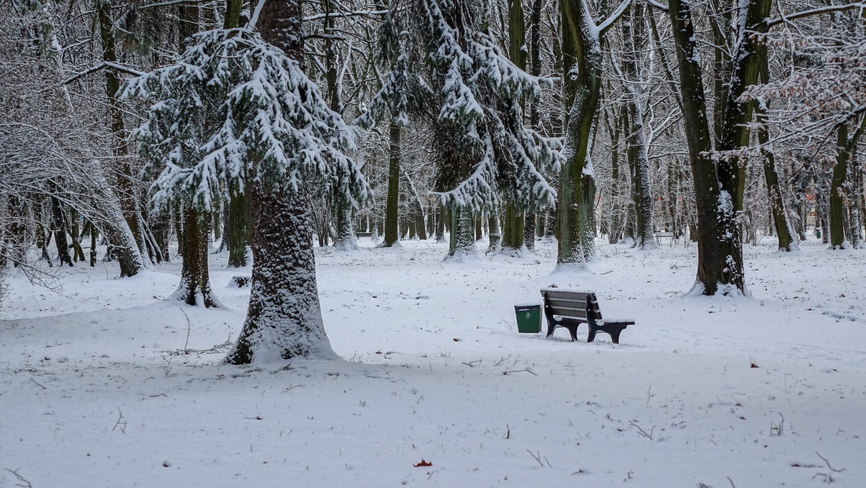 Styczeń w obiektywie - zdjęcie 25