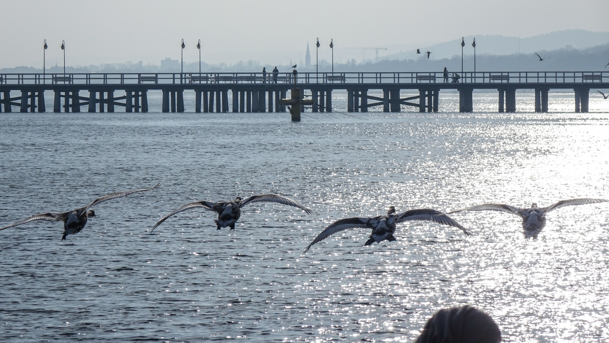 Z kamerą wśród zwierząt - zdjęcie 52