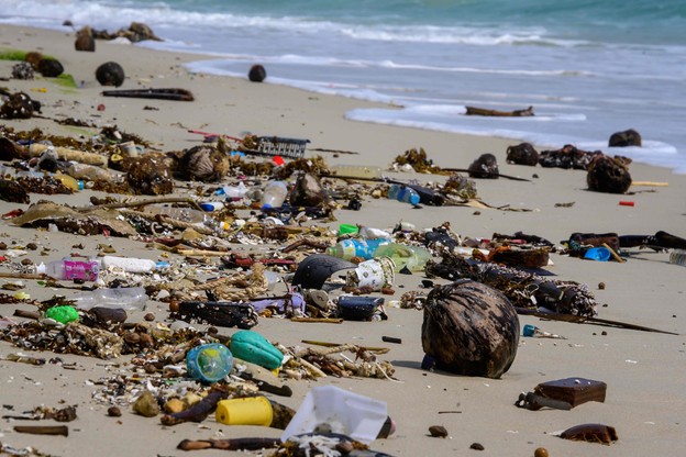 Włochy. Plastikowe opakowanie sprzed 40 lat znaleziono w Zatoce Neapolitańskiej