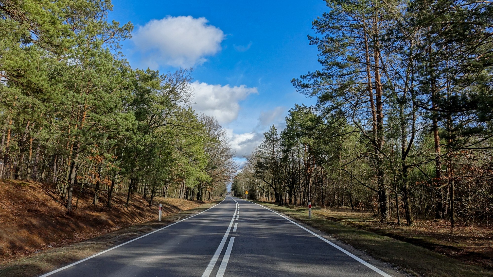Najcieplejsza zima w historii - zdjęcie 7
