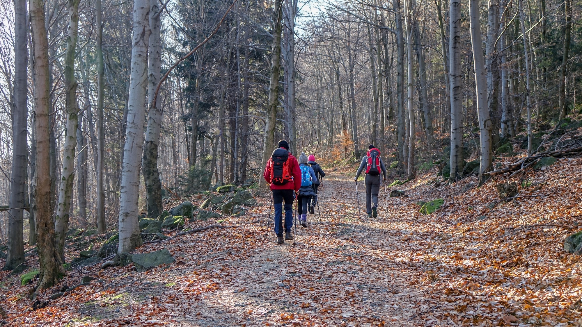 Ludzie na łonie natury - zdjęcie 8