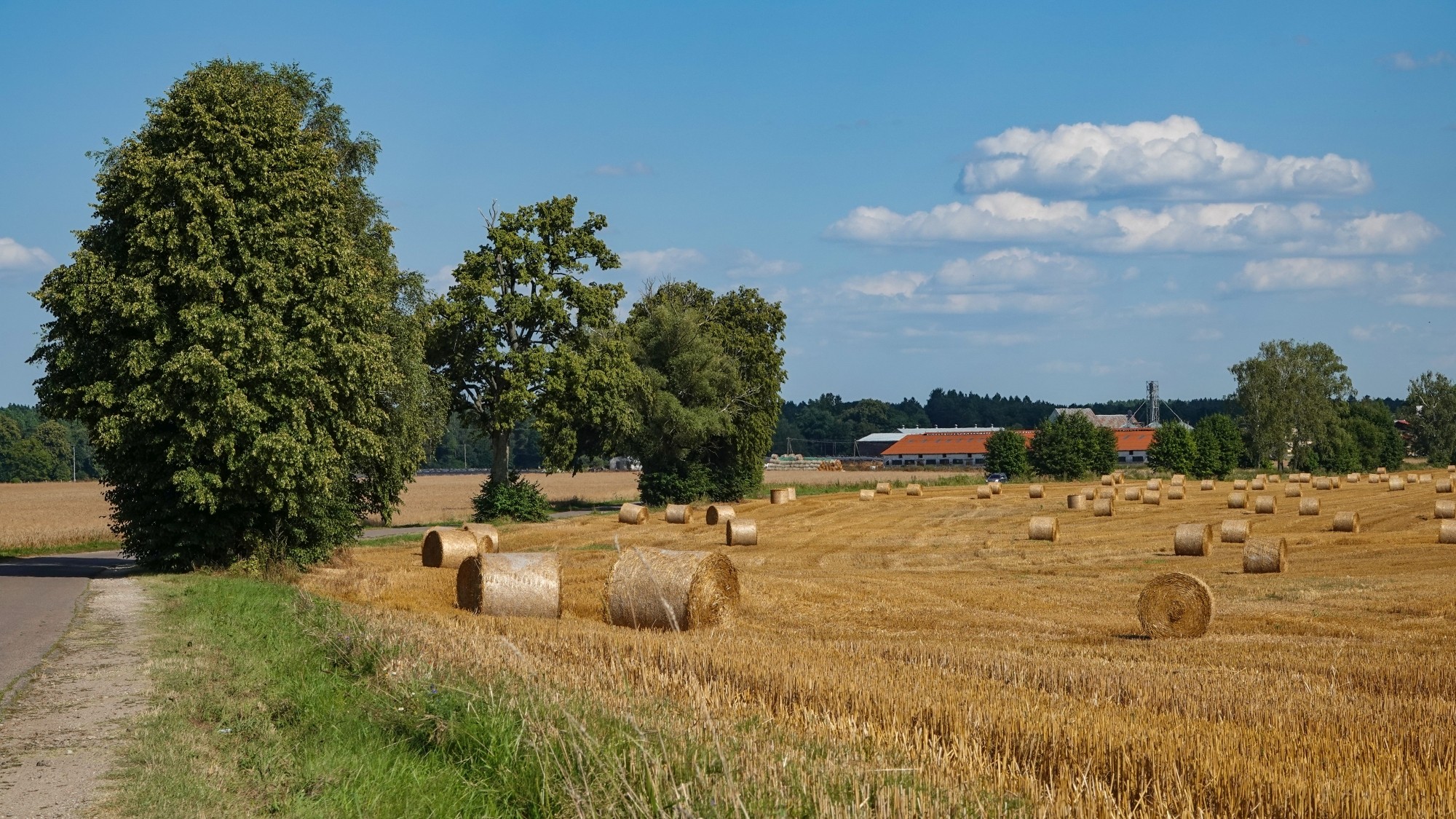 Na pożegnanie lata - zdjęcie 15