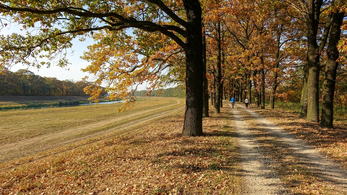 Polskie krajobrazy w 2018 roku - zdjęcie 79
