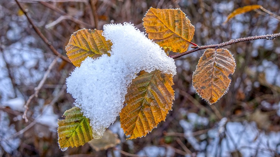 Fot. TwojaPogoda.pl