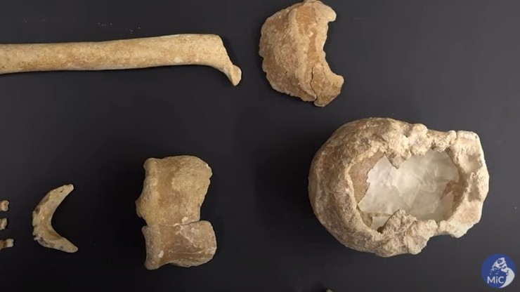 Włochy. Odkryto szczątki dziewięciu neandertalczyków