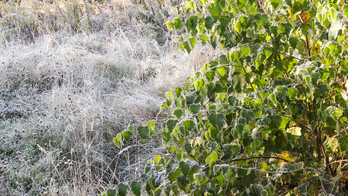Zakochaj się w Polsce - zdjęcie 30