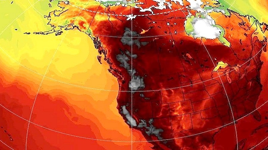 Mapa temperatury maksymalnej w Ameryce Północnej. W zachodniej Kanadzie temperatura sięgnęła 50 stopni. Fot. Scott Duncan / Instagram @scottduncanwx.