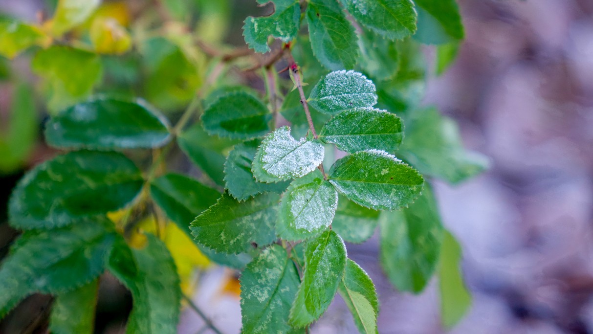 Listopad w obiektywie - zdjęcie 16