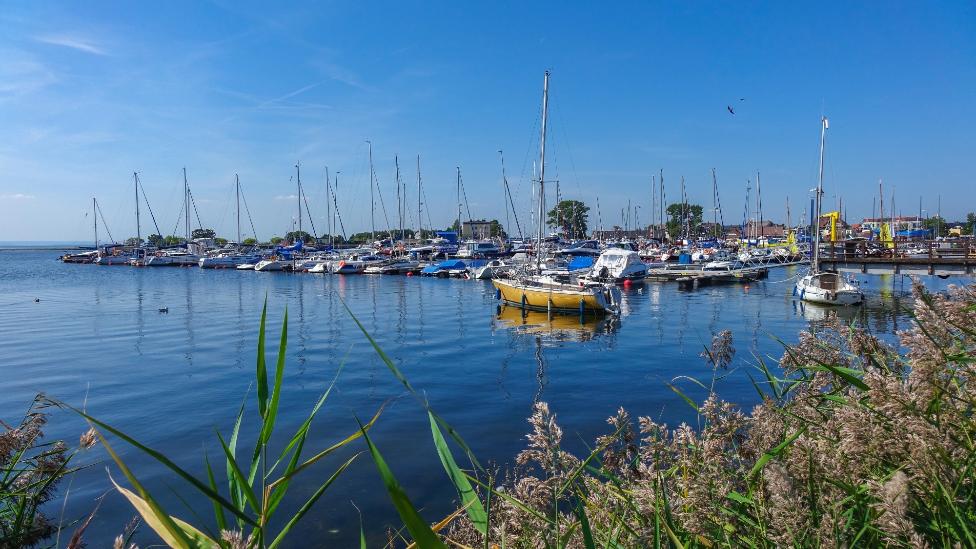 Wakacyjne podróże - zdjęcie 24