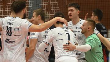 PlusLiga: Barkom Każany Lwów - PGE Projekt Warszawa. Relacja live i wynik na żywo