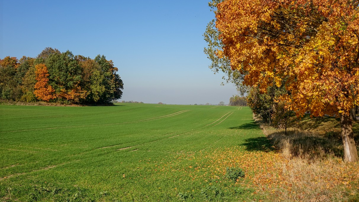 Barwy jesieni - zdjęcie 28