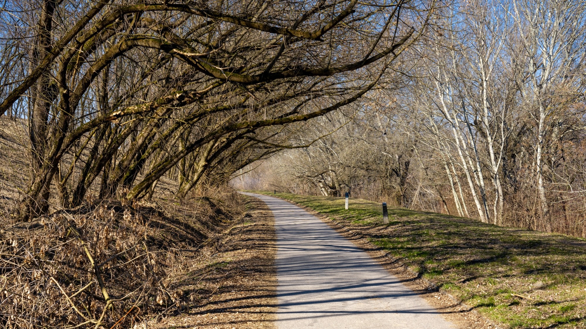 Miejska przyroda - zdjęcie 37