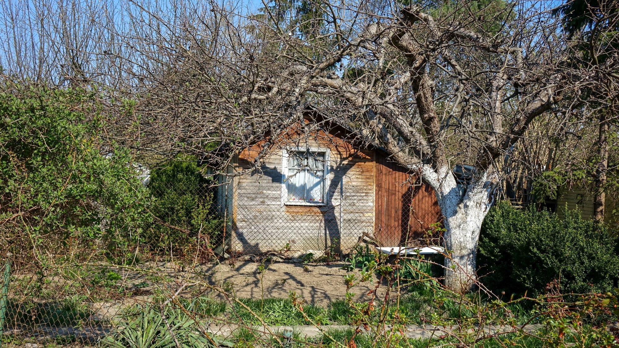 Kwiecień w obiektywie - zdjęcie 16