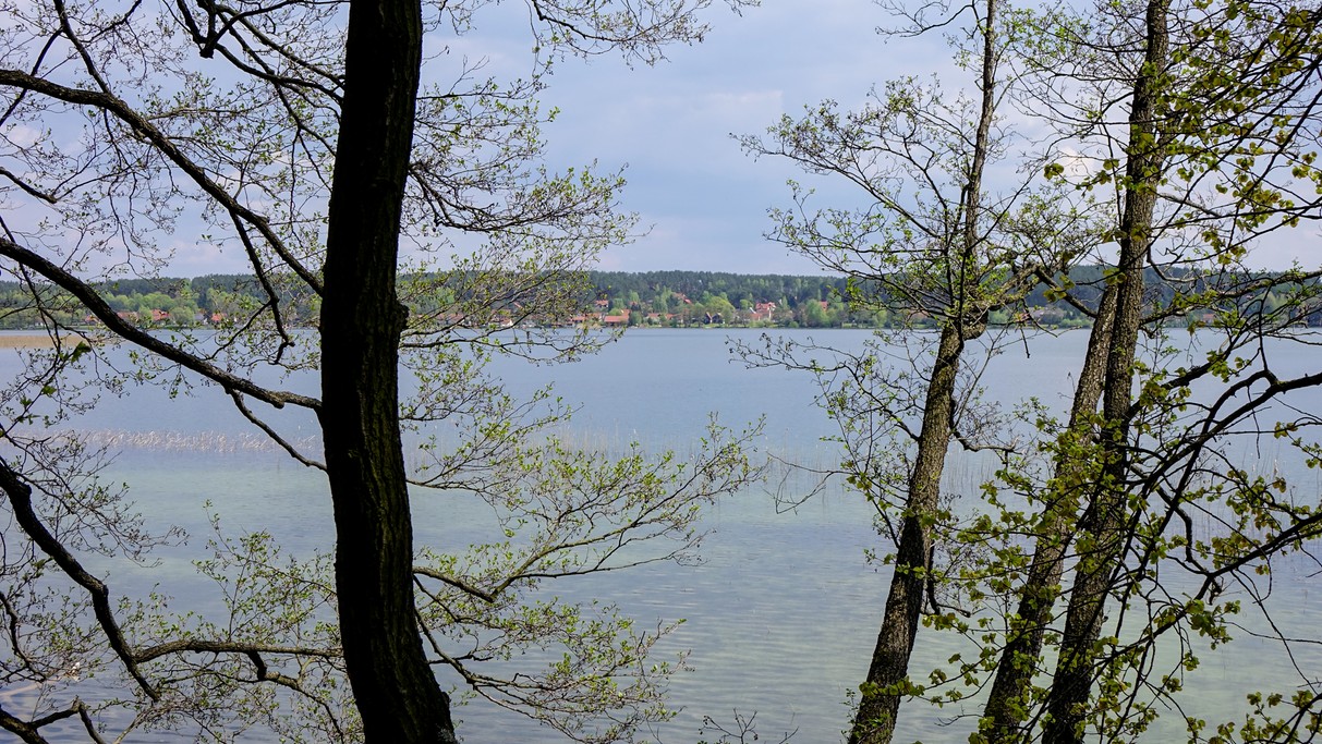 Nad morzem, jeziorami i rzekami - zdjęcie 103