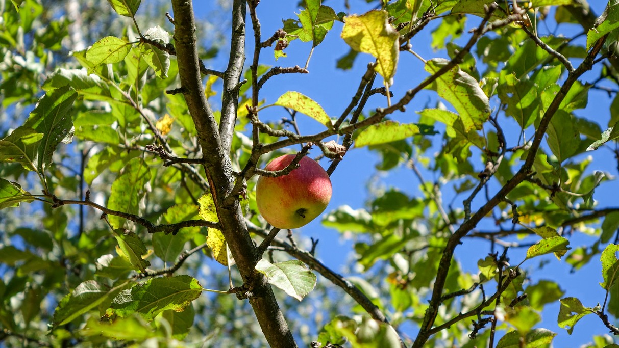 Uroki końca lata - zdjęcie 25