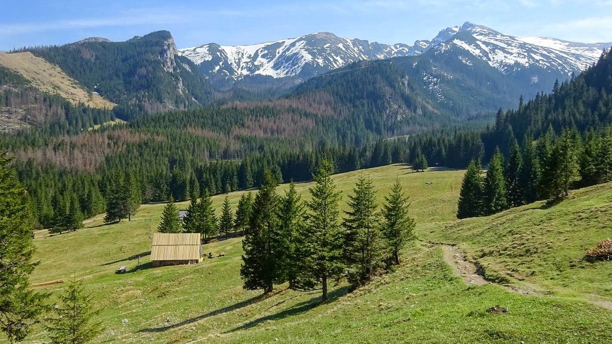 Tatrzański Park Narodowy ostrzega. Za to grożą wysokie mandaty