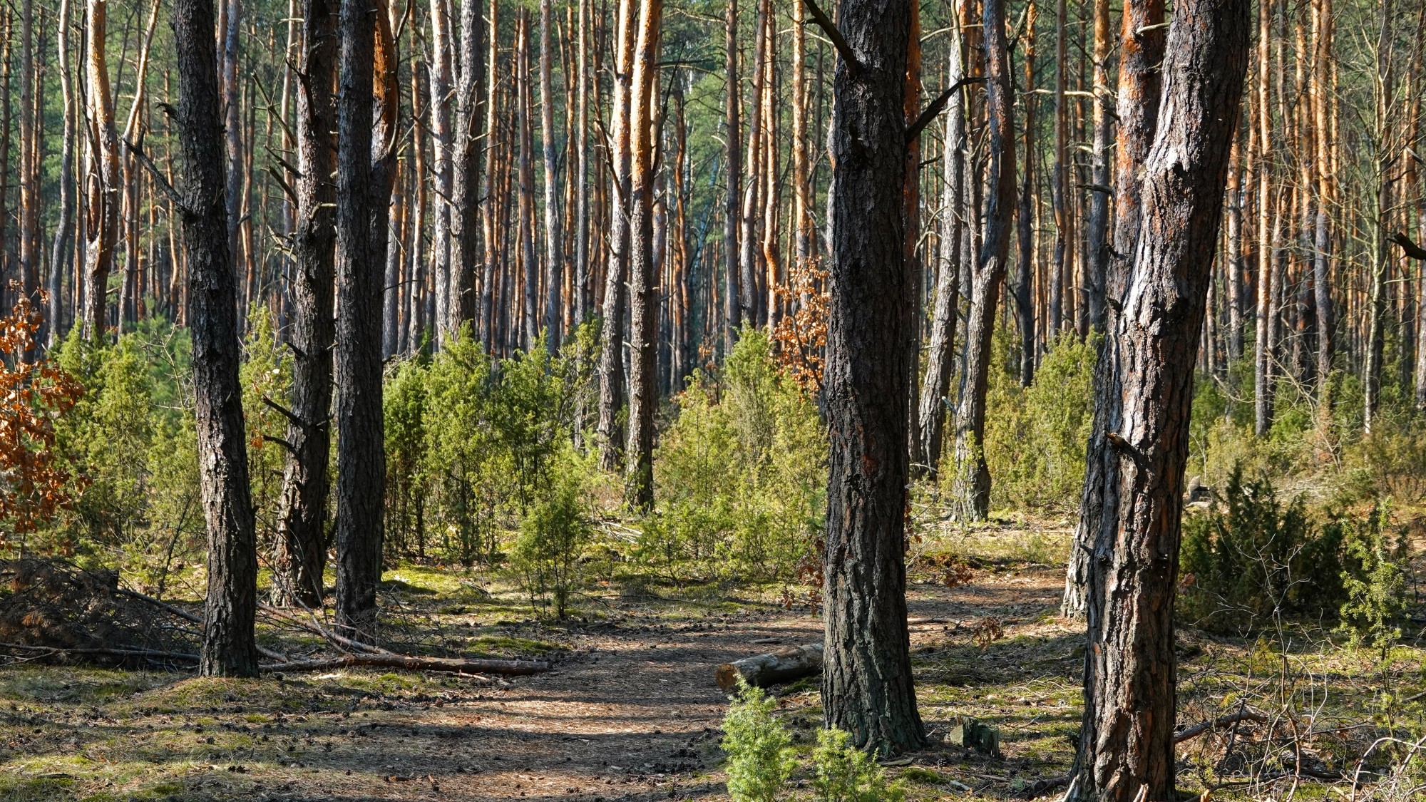 Marzec w obiektywie - zdjęcie 52