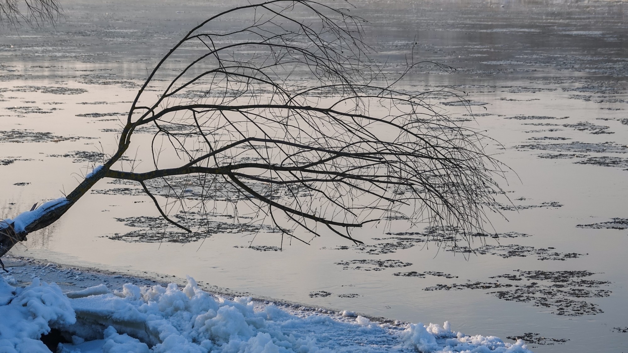 Na lodowym szlaku - zdjęcie 46