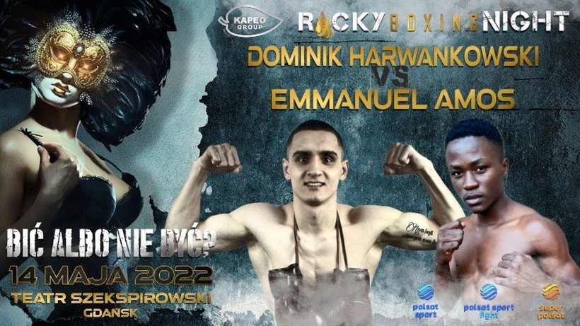 Rocky Boxing Night: Powrót Dominika Harwankowskiego. "Czeka mnie mocna przeprawa"