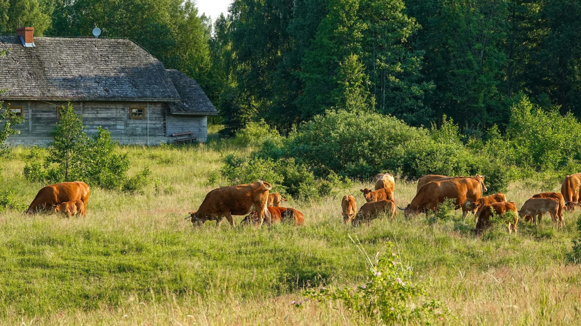 Wakacje minionych lat - zdjęcie 16