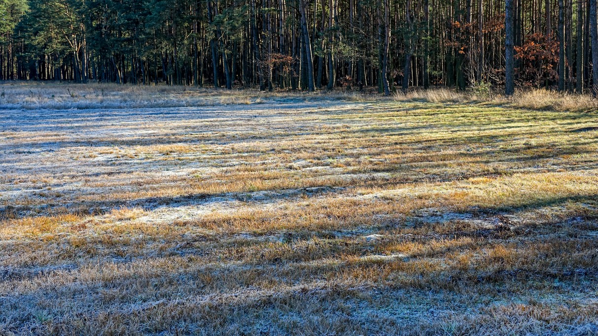 Listopad w obiektywie - zdjęcie 43