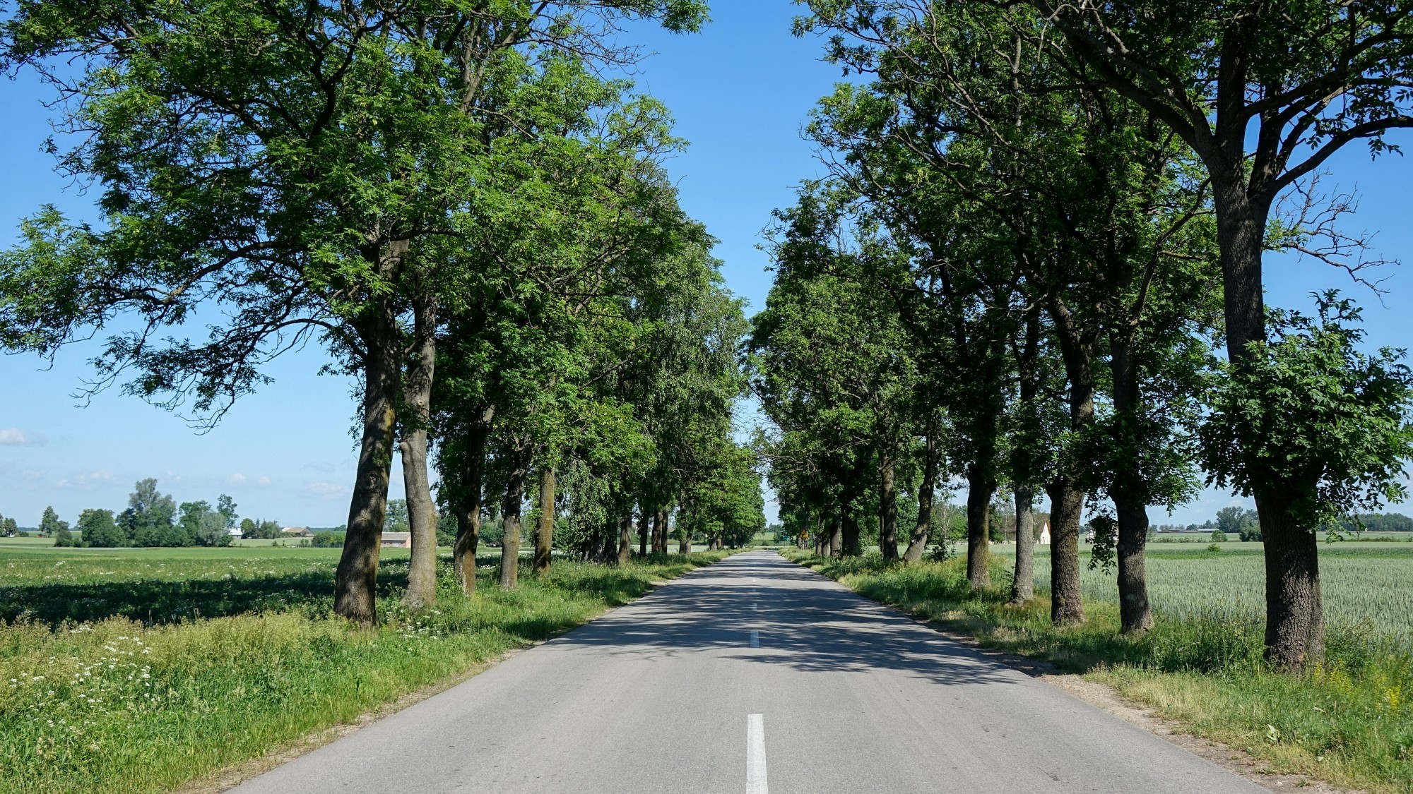 Uroki lata za miastem - zdjęcie 25