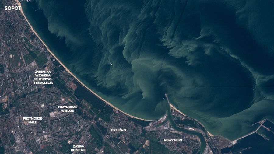 Zdjęcie satelitarne sinic w Zatoce Gdańskiej u wybrzeży Trójmiasta. Fot. Sentinel / Copernicus / ESA.