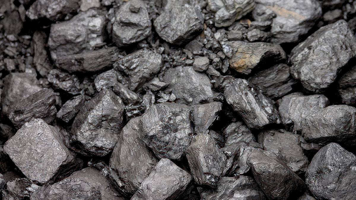Polska znajdowała się na równiku. Dlatego na Śląsku jest tyle węgla
