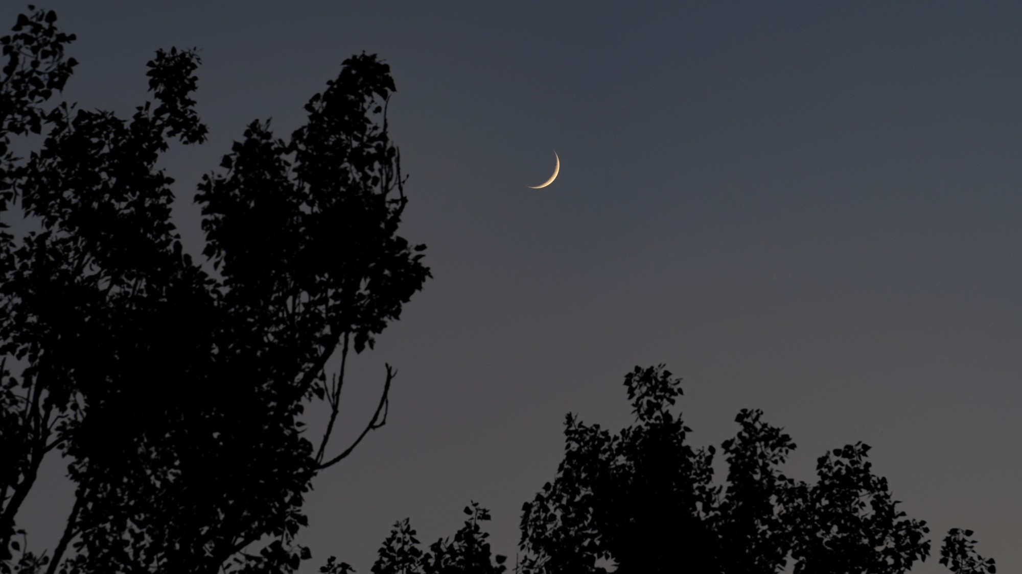 Lato na prowincji - zdjęcie 26