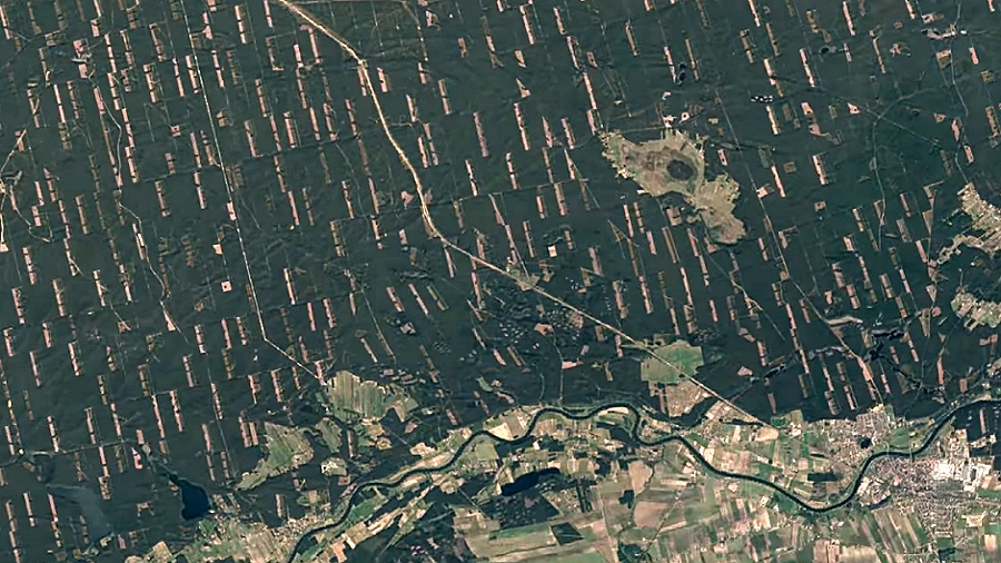 Puszcza Notecka. Fot. Google / NASA / Landsat-8.