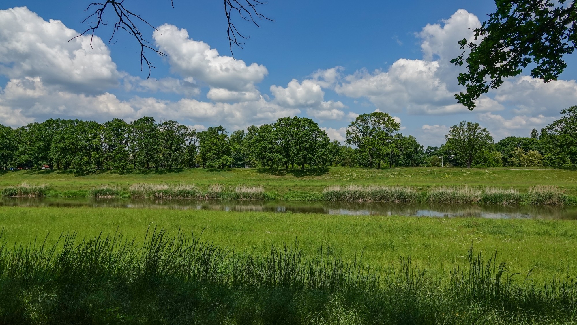 Uroki zielonej pory roku - zdjęcie 53