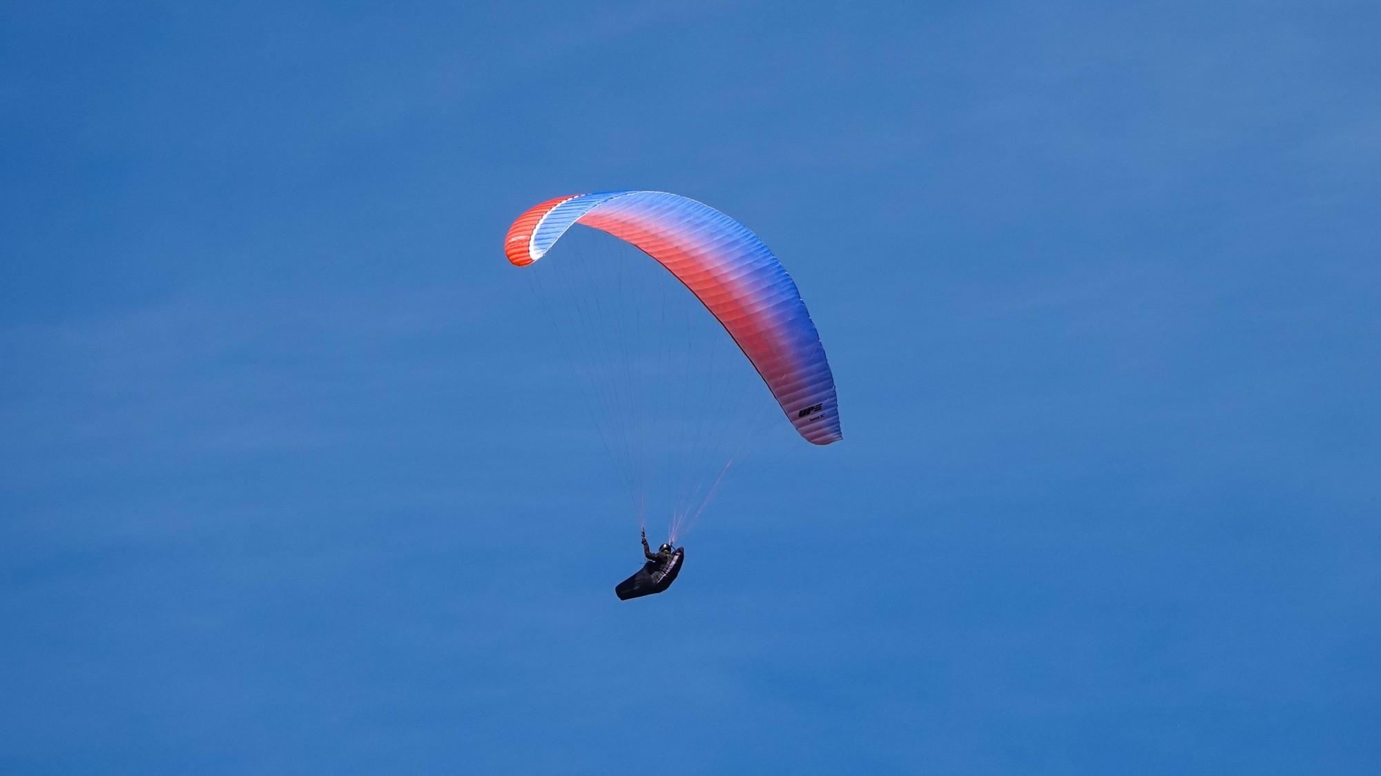 Środek lata w plenerze - zdjęcie 42