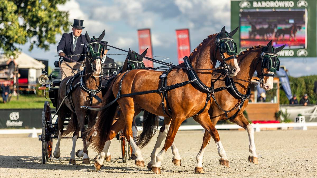 Exell i Sandmann najlepsi w próbie ujeżdżenia podczas Baborówko Driving Show