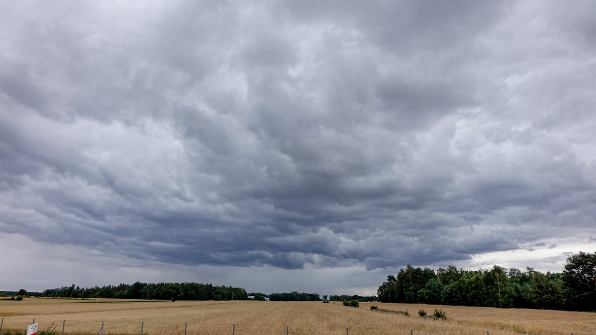 Czerwiec w obiektywie - zdjęcie 28